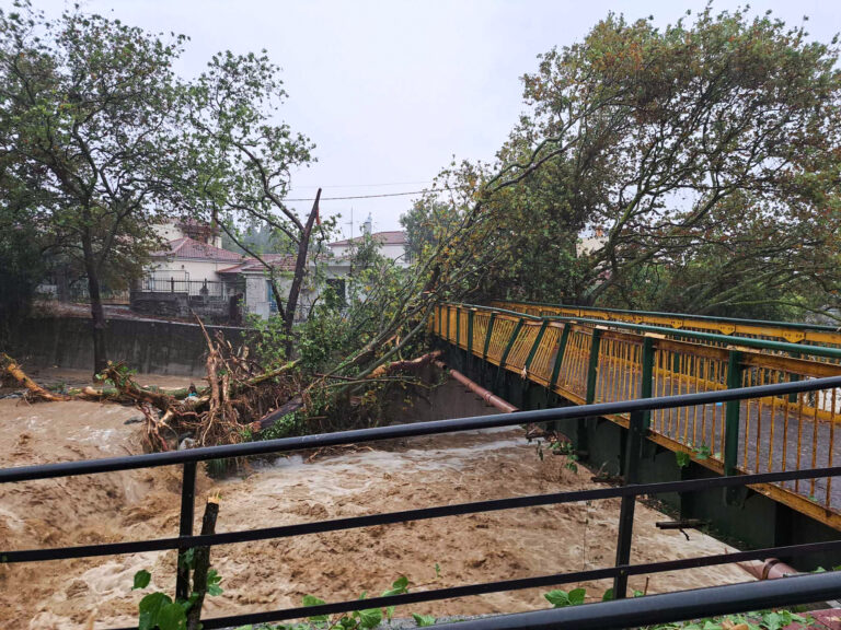 ΚΑΚΟΚΑΙΡΙΑ ΣΤΟ ΒΟΛΟ ΧΕΙΜΑΡΡΟΣ ΞΗΡΙΑΣ (ΣΕΒΙΝΑ ΔΑΡΙΩΤΟΥ/ Eurokinissi)