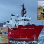 Βουλγαρία: Ερευνητές εξετάζουν τη δυνητική χρήση ζυμομυκήτων της Ανταρκτικής για τη θεραπεία του καρκίνου
