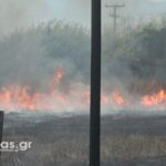 Φωτιά στην Δαλαμανάρα(φώτο-βίντεο)