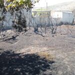 Φωτιά εκδηλώθηκε στον αρχαιολογικό χώρο της αρχαίας Αγοράς στο Άργος ΒΙΝΤΕΟ