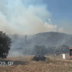 Μεγάλη πυρκαγιά σε αγροτοδασική έκταση στα Καρναζέικα Αργολίδας(vid)