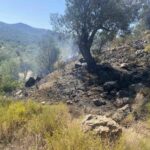 Μικρής έντασης πυρκαγιά στην περιοχή «Μπολέικα» στη Θερμησία