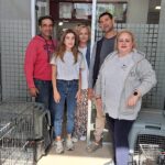 Δωρεάν στειρώσεις από το Δήμο Ναυπλιέων(vid)